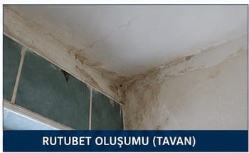 Tavanda rutubet